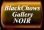 The black Chows of the ZORROs and Noirs and special 
information about the EURODOG, medical articles, transatlantic flights and a special Chow breed feature